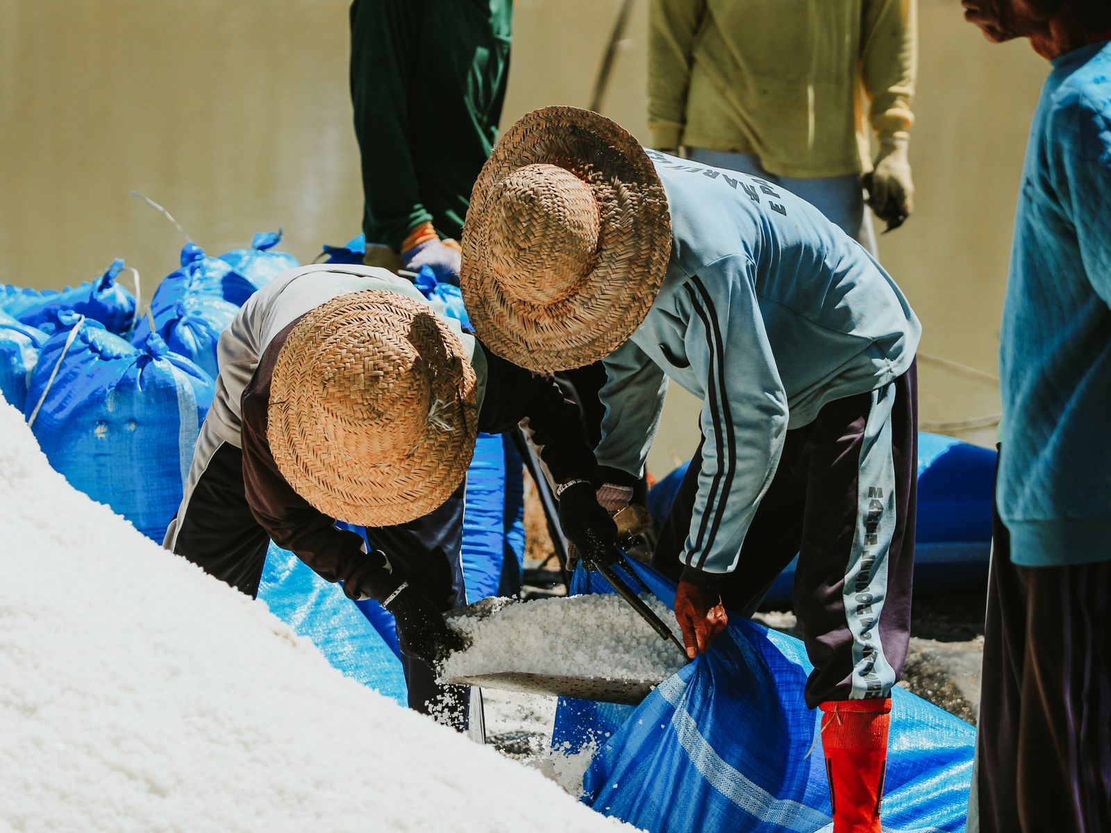 Indonesian salt farmers harvesting under the sun
