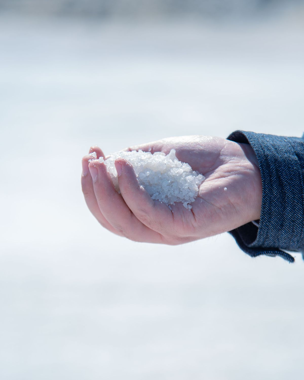 A hand holding freshly gathered salt crystals