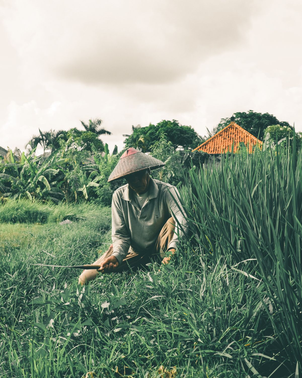 A farmer working the fields in traditional dress